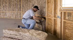 Professional Insulation Services in Durand, WI